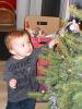 kerstboom 3